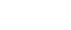 chevrolet logo.png