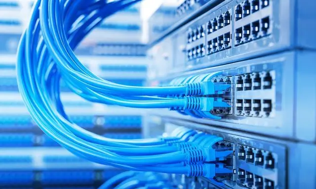 cropped whaleglobal networking